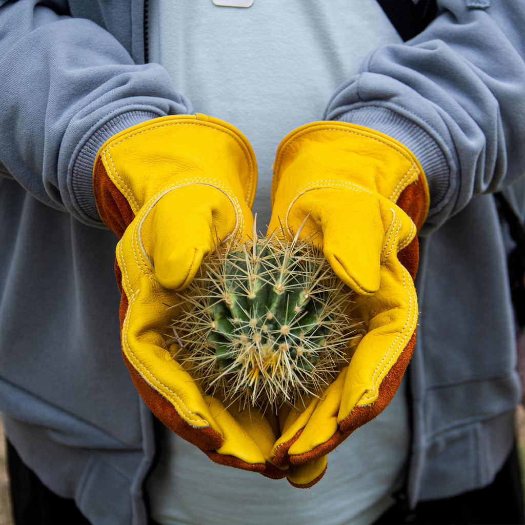 Adult cowhide leather work gloves with Elastic wrist cuff