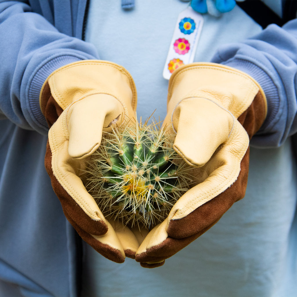 Adult cowhide leather work gloves with Elastic wrist cuff