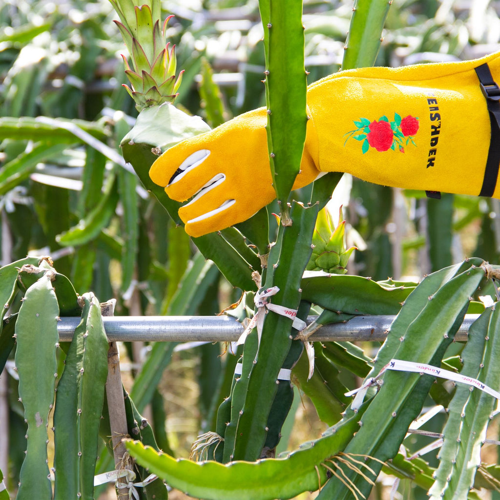 Real Leather Thorn Proof Long gardening Gloves