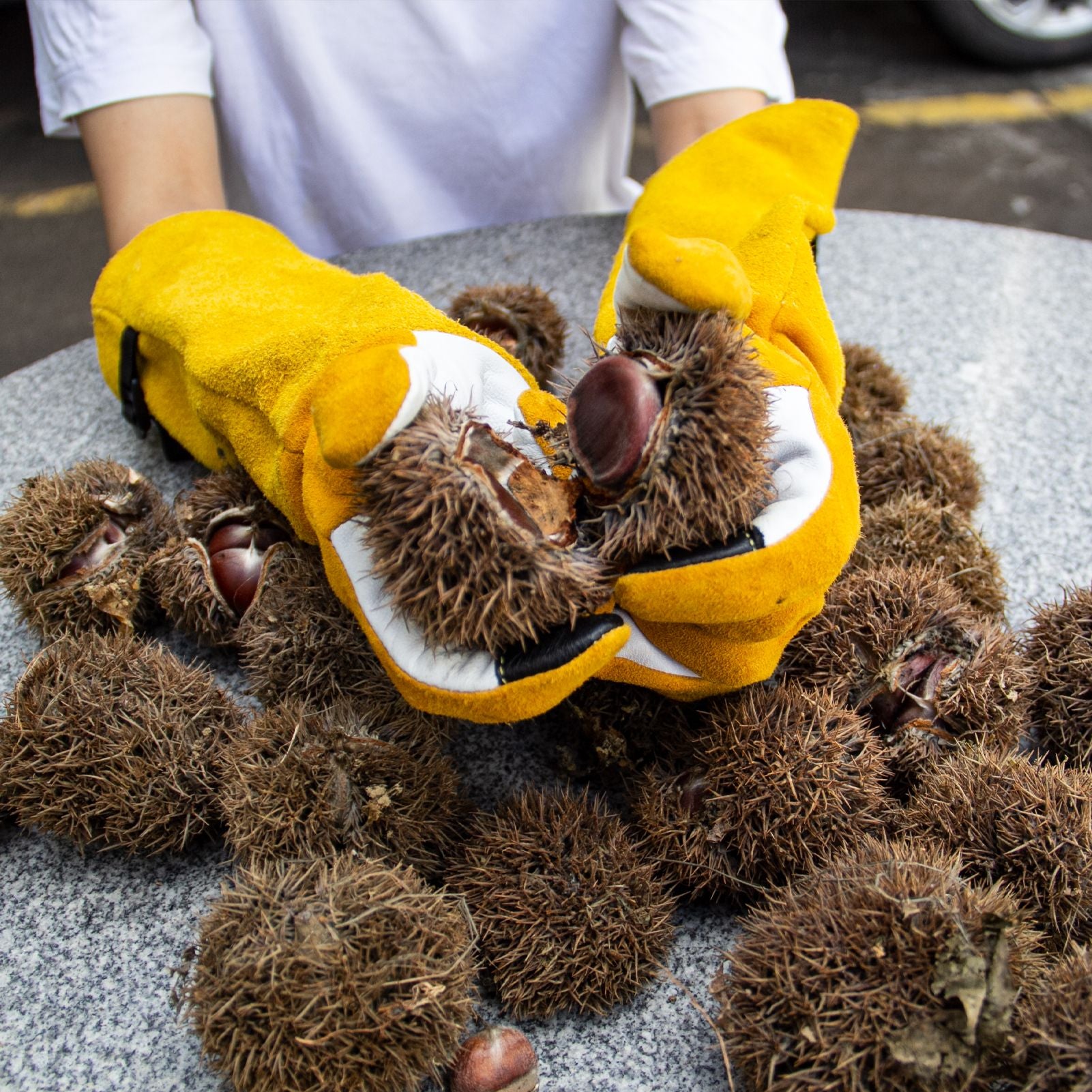 Real Leather Thorn Proof Long gardening Gloves