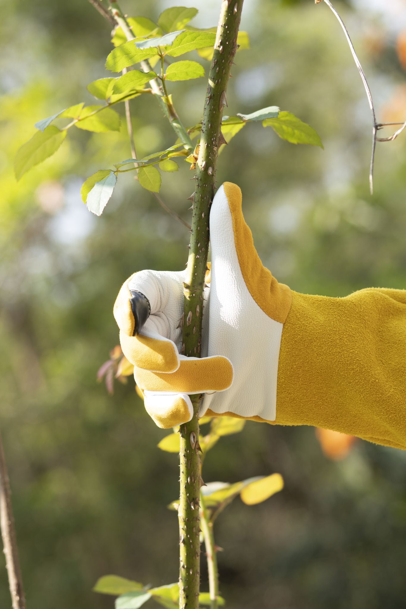 Real Leather Thorn Proof Long gardening Gloves