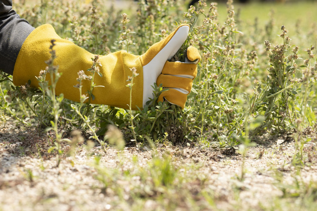 Real Leather Thorn Proof Long gardening Gloves