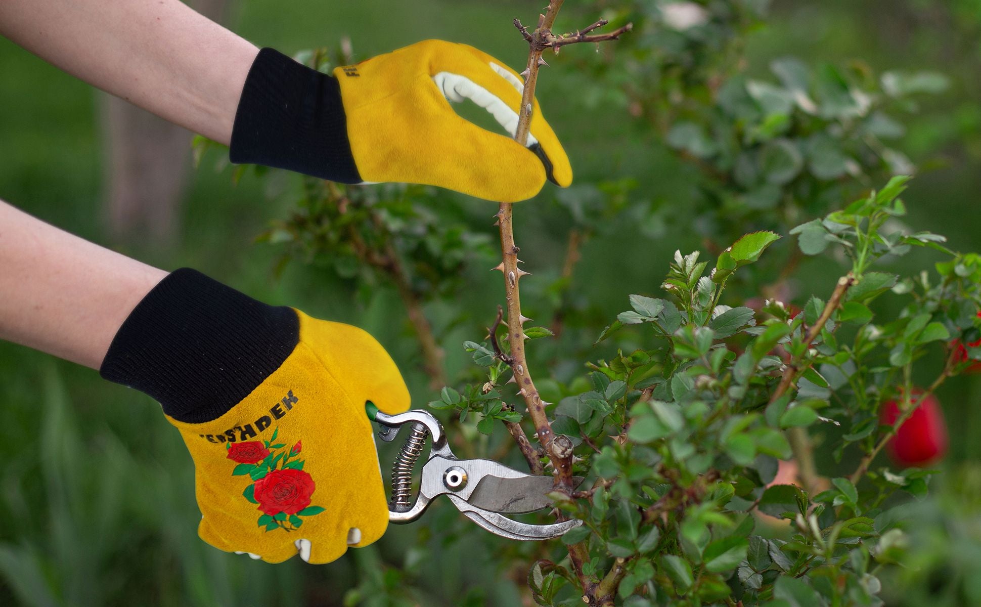 Real Leather Thorn Proof Cactus/Rose Gloves